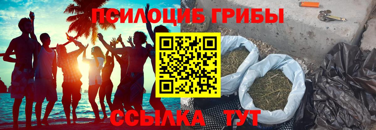 Тихвин  Галлюциногенные грибы мицелий  Вход с VPN 